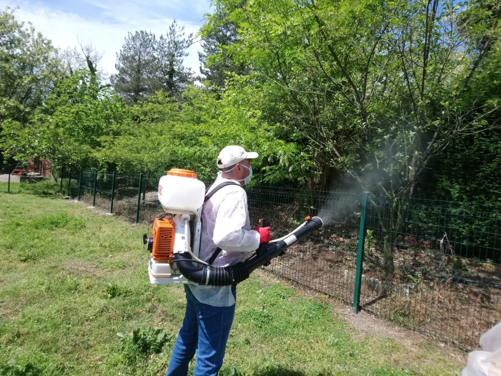 kocaeli arı ilaçlama